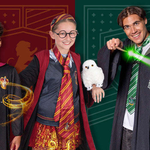Harry Potter Costume Ideas
