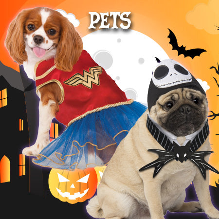 Pets can join in the Halloween 2026 fun too with these adorable Halloween costumes for dogs! Order online at Costume Super Centre Australia
