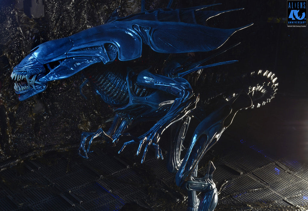 Buy Alien Queen Ultra Deluxe Boxed Figure 40th Anniversary - Aliens - NECA Collectibles from Costume Super Centre AU