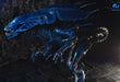 Buy Alien Queen Ultra Deluxe Boxed Figure 40th Anniversary - Aliens - NECA Collectibles from Costume Super Centre AU