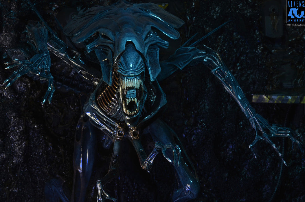 Buy Alien Queen Ultra Deluxe Boxed Figure 40th Anniversary - Aliens - NECA Collectibles from Costume Super Centre AU