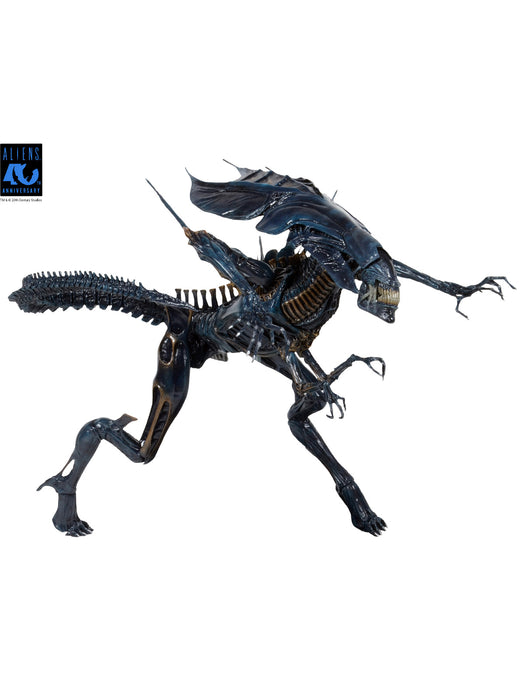Buy Alien Queen Ultra Deluxe Boxed Figure 40th Anniversary - Aliens - NECA Collectibles from Costume Super Centre AU