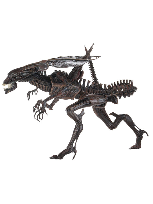 Buy Alien Queen Ultra Deluxe Boxed Figure - Alien: Resurrection - NECA Collectibles from Costume Super Centre AU