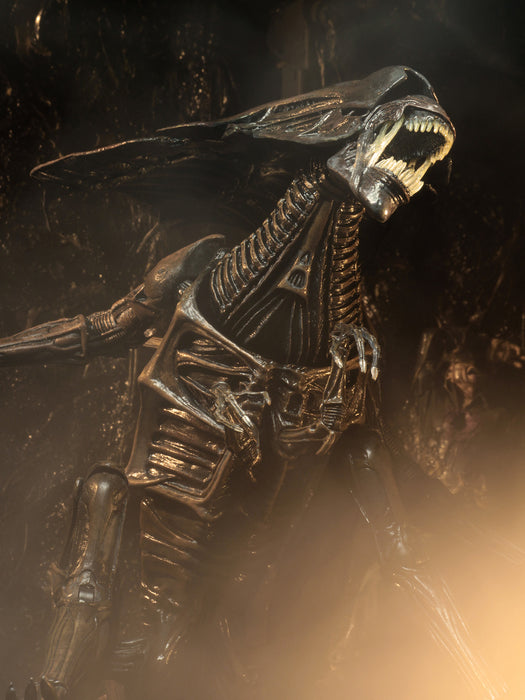 Buy Alien Queen Ultra Deluxe Boxed Figure - Alien: Resurrection - NECA Collectibles from Costume Super Centre AU