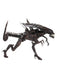 Buy Alien Queen Ultra Deluxe Boxed Figure - Alien: Resurrection - NECA Collectibles from Costume Super Centre AU