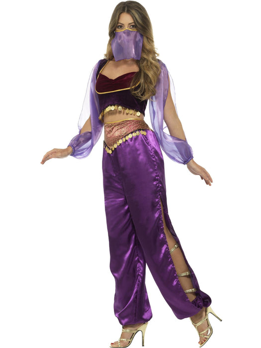 Buy Arabian Princess Costume for Adults from Costume Super Centre AU