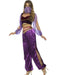 Buy Arabian Princess Costume for Adults from Costume Super Centre AU