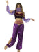 Buy Arabian Princess Costume for Adults from Costume Super Centre AU