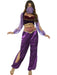 Buy Arabian Princess Costume for Adults from Costume Super Centre AU