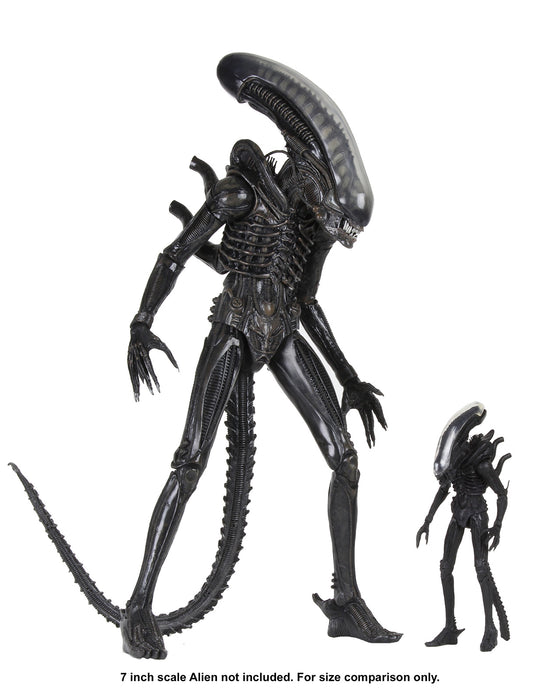 Buy Big Chap 40th Anniversary - 1/4 Scale Action Figure - Alien from Costume Super Centre AU
