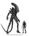 Buy Big Chap 40th Anniversary - 1/4 Scale Action Figure - Alien from Costume Super Centre AU