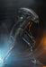 Buy Big Chap 40th Anniversary - 1/4 Scale Action Figure - Alien from Costume Super Centre AU