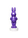 Buy Bonnie 30cm Light-Up Decor - Five Nights at Freddy's from Costume Super Centre AU