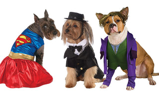 Need a pet costume? We have the cutest costumes for dogs! Wedding? Superhero? Halloween? Orders yours today for superfast shipping within Australia 