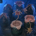 Buy Carton of 6 Alien Eggs Accessory Pack 40th Anniversary - Aliens - NECA Collectibles from Costume Super Centre AU