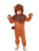 Buy Cowardly Lion Deluxe Costume for Kids - Warner Bros The Wizard of Oz from Costume Super Centre AU