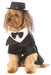 Buy Dapper Dog Pet Costume from Costume Super Centre AU
