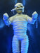 Buy Eddie Mummy - 8" Scale Clothed Action Figurine - Iron Maiden - NECA Collectibles from Costume Super Centre AU