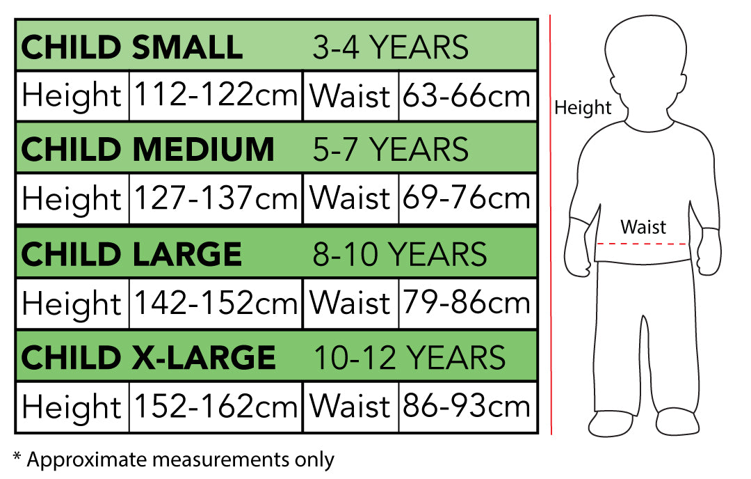 Buy Elf Girl Deluxe Costume for Kids from Costume Super Centre AU
