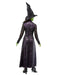 Buy Elphaba Costume for Adults - Wicked from Costume Super Centre AU