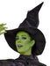 Buy Elphaba Costume for Adults - Wicked from Costume Super Centre AU