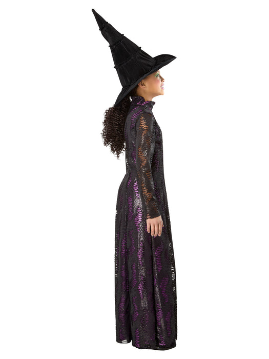 Buy Elphaba Premium Costume for Kids - Wicked from Costume Super Centre AU