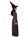 Buy Elphaba Premium Costume for Kids - Wicked from Costume Super Centre AU