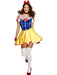 Buy Fairytale Fever Costume for Adults from Costume Super Centre AU