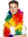 Buy Feather Boa Accessory for Adults - Rainbow from Costume Super Centre AU