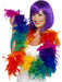 Buy Feather Boa Accessory for Adults - Rainbow from Costume Super Centre AU