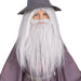 Buy Gandalf Wig & Beard Kit for Kids & Adults - Lord of the Rings from Costume Super Centre AU