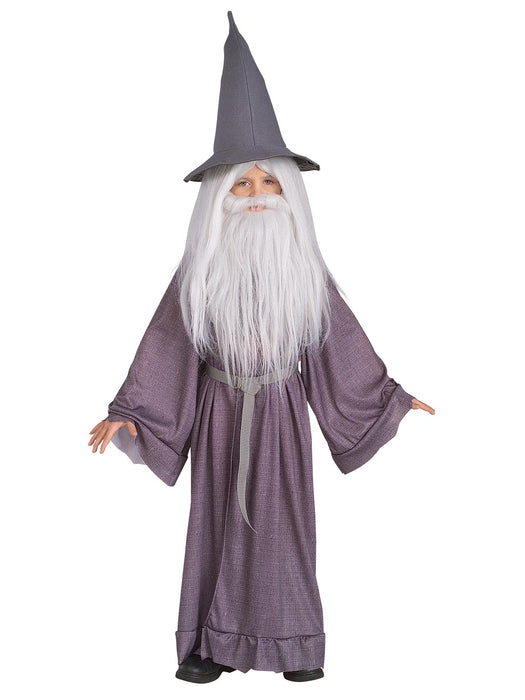 Buy Gandalf Wig & Beard Kit for Kids & Adults - Warner Bros Lord of the Rings from Costume Super Centre AU