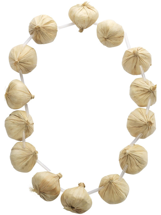 Buy Garlic Garland Accessory from Costume Super Centre AU