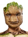 Buy Groot Deluxe Costume for Kids - Marvel Guardians of the Galaxy 3 from Costume Super Centre AU