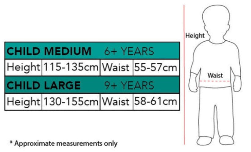 Buy Harry Potter Printed Scarf Robe for Kids - Warner Bros Harry Potter from Costume Super Centre AU