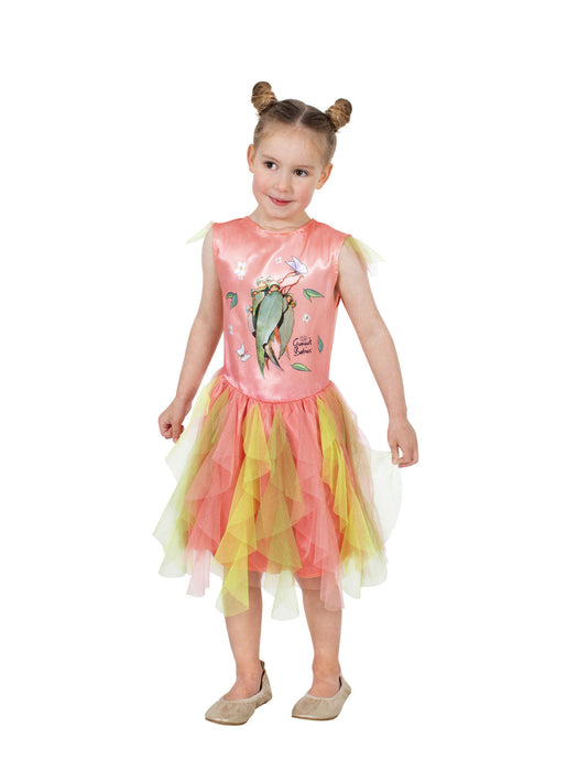 Buy Gumnut Baby Costume for Toddlers & Kids - May Gibbs' Gumnut Babies from Costume Super Centre AU