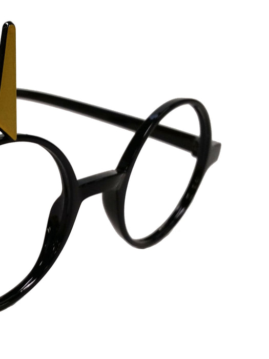 Buy Harry Potter Deluxe Glasses for Kids - Warner Bros Harry Potter from Costume Super Centre AU