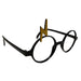 Buy Harry Potter Deluxe Glasses for Kids - Warner Bros Harry Potter from Costume Super Centre AU