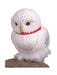 Buy Hedwig The Owl Prop - Warner Bros Harry Potter from Costume Super Centre AU