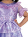 Buy Isabela Deluxe Costume for Toddlers - Disney Encanto from Costume Super Centre AU