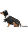 Buy Jack Skellington Costume for Pets - Disney Nightmare Before Christmas from Costume Super Centre AU