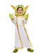 Buy Master Yoda Deluxe Costume for Toddlers & Kids - Disney Star Wars Young Jedi Adventures from Costume Super Centre AU