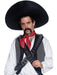 Buy Mexican Bandit Sombrero for Adults from Costume Super Centre AU