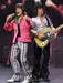 Buy Mick Jagger 1975 - 8" Scale Action Figure - The Rolling Stones - NECA Collectibles from Costume Super Centre AU