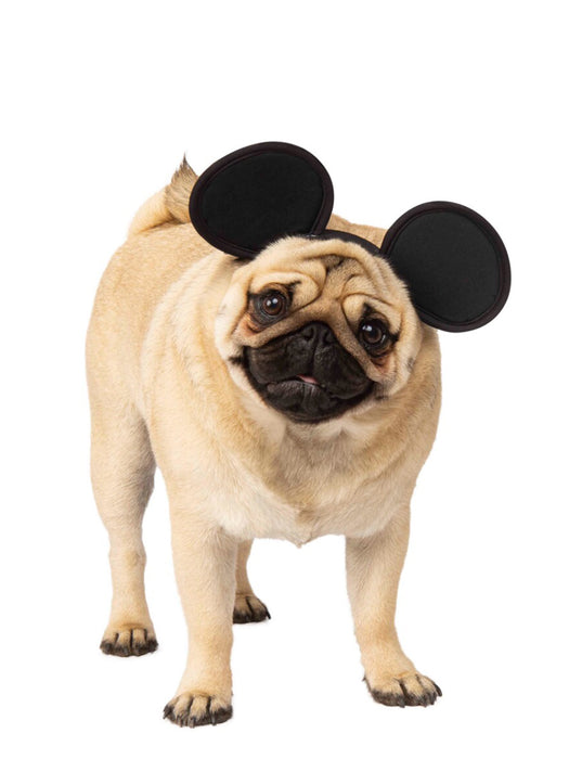 Buy Mickey Mouse Ears for Pets - Disney Mickey Mouse from Costume Super Centre AU