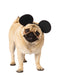 Buy Mickey Mouse Ears for Pets - Disney Mickey Mouse from Costume Super Centre AU