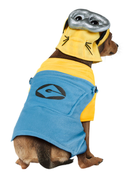 Buy Minion Pet Costume - Despicable Me from Costume Super Centre AU