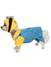 Buy Minion Pet Costume - Despicable Me from Costume Super Centre AU