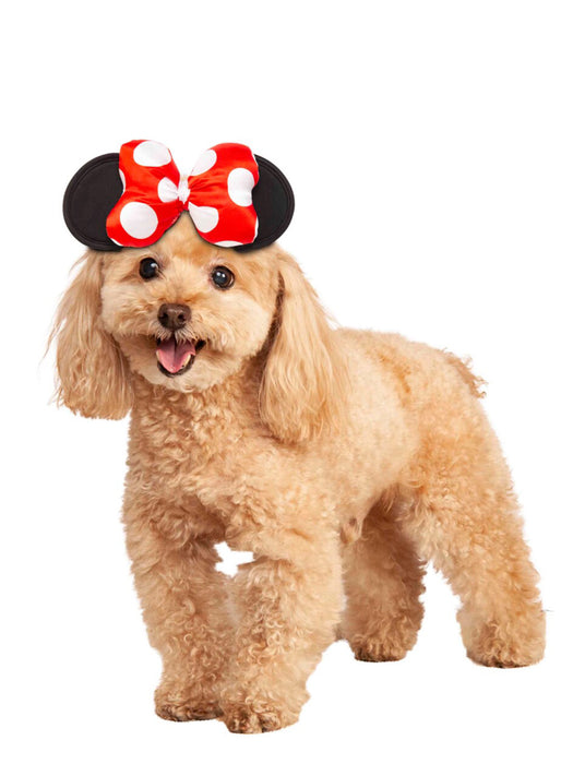 Buy Minnie Mouse Ears for Pets - Disney Mickey Mouse from Costume Super Centre AU