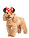 Buy Minnie Mouse Ears for Pets - Disney Mickey Mouse from Costume Super Centre AU
